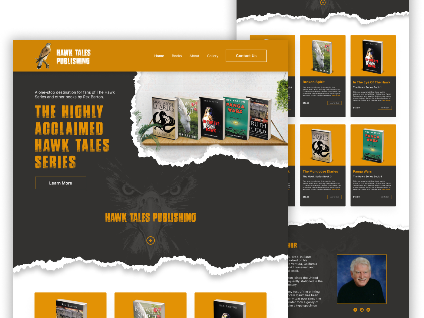 Author Website design, Military Fiction website, publishing website design
