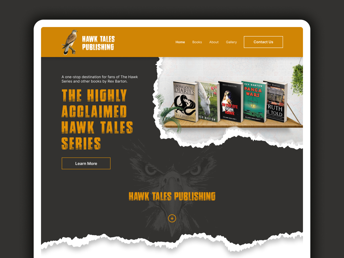 Hawk Tales Publishing, Author Website design, Military Fiction website, publishing website design,